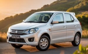 car rental